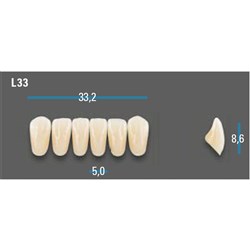 Vitapan Plus Anterior Shade D3 Lower Mould L33 Set 6