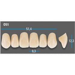 Vitapan Plus Anterior Shade D3 Upper Mould O51 Set 6