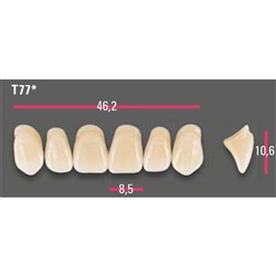 Vitapan Anterior Shade D3 Upper Mould T77 Set 6