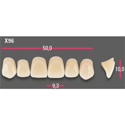 Vitapan Anterior Shade D3 Upper Mould X96 Set 6