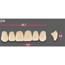 Vitapan Anterior Shade D3 Upper Mould Z74 Set 6
