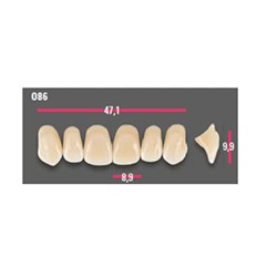Vitapan Anterior Shade D4 Upper Mould O86 Set 6