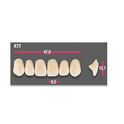 Vitapan Anterior Shade D4 Upper Mould X77 Set 6