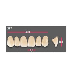 Vitapan Anterior Shade D4 Upper Mould X87 Set 6