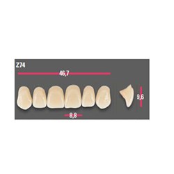 Vitapan Anterior Shade D4 Upper Mould Z74 Set 6