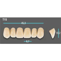 Physiodens Anterior Shade A1 Upper Mould T1S Set 6