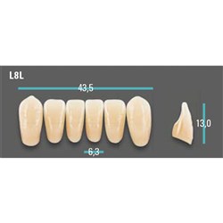 Physiodens Anterior Shade A2 Lower Mould L8L Set 6