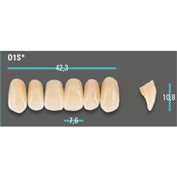 Physiodens Anterior Shade A2 Upper Mould O1S Set 6