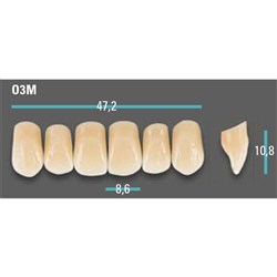 Physiodens Anterior Shade A3 Upper Mould O3M Set 6