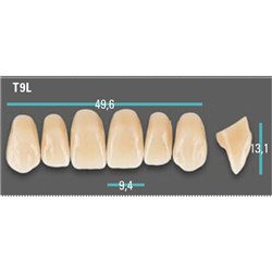 Physiodens Anterior Shade A3 Upper Mould T9L Set 6