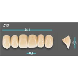 Physiodens Anterior Shade A3.5 Upper Mould Z1S Set 6