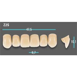Physiodens Anterior Shade B2 Upper Mould Z2S Set 6