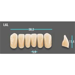 Physiodens Anterior Shade B3 Lower Mould L6L Set 6