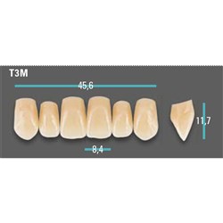 Physiodens Anterior Shade B3 Upper Mould T3M Set 6