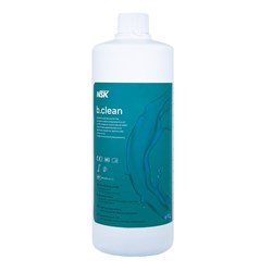 B. Clean Solution 1L Bottle For VCP2 Box of 6