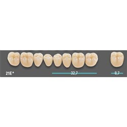 Physiodens 3D Posterior Shade 1M1 Lower Mould 21EL Set 6