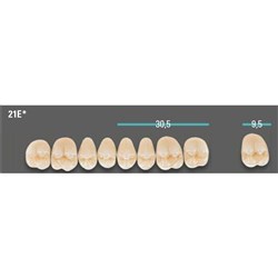 Physiodens 3D Posterior Shade 1M1 Upper Mould 21EU Set 6