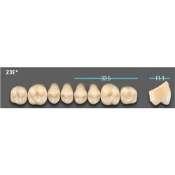 Physiodens 3D Posterior Shade 1M1 Upper Mould 23EU Set 6