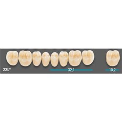 VITA Lingoform Lower Posterior Shade 2M1 Mould 22LL 3D-MASTER