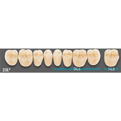 VITA Lingoform Lower Posterior Shade 2M2 Mould 23LL 3D-MASTER