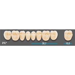 VITA Lingoform Lower Posterior Shade 3M2 Mould 21LL 3D-MASTER