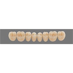 VITA Lingoform Lower Posterior Shade B4 Mould 22L Classical