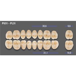 MFT Upper Posterior 3D MASTER Shade 3L25 Mould PU31x8