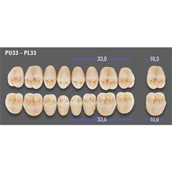 MFT Lower Posterior 3D MASTER Shade 3R25 Mould PL33 x8