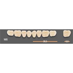 Vitapan SYNOFORM Posterior A1 Lower Mould 10SL Set 8