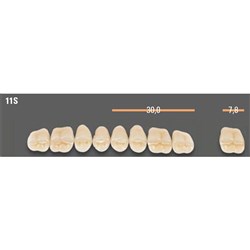 Vitapan SYNOFORM Posterior A1 Upper Mould 11SU Set 8