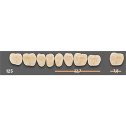 Vitapan SYNOFORM Posterior A1 Lower Mould 12SL Set 8