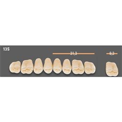 Vitapan SYNOFORM Posterior A1 Upper Mould 13SU Set 8