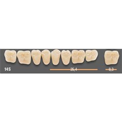 Vitapan SYNOFORM Posterior A1 Lower Mould 14SL Set 8
