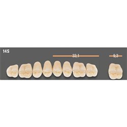 Vitapan SYNOFORM Posterior A1 Upper Mould 14SU Set 8