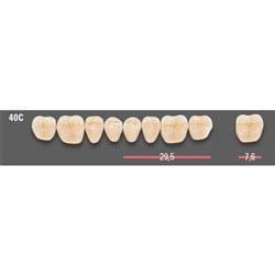 Vitapan CUSPIFORM Posterior A1 Lower Mould 40CL Set 8