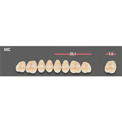 Vitapan CUSPIFORM Posterior A1 Upper Mould 40CU Set 8