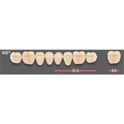 Vitapan CUSPIFORM Posterior A1 Lower Mould 41CL Set 8