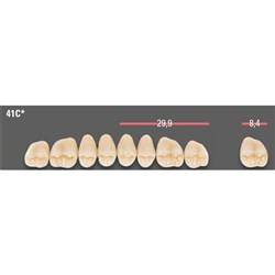 Vitapan CUSPIFORM Posterior A1 Upper Mould 41CU Set 8
