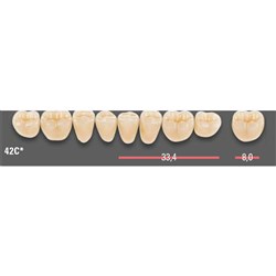 Vitapan CUSPIFORM Posterior A1 Lower Mould 42CL Set 8