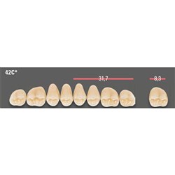 Vitapan CUSPIFORM Posterior A1 Upper Mould 42CU Set 8