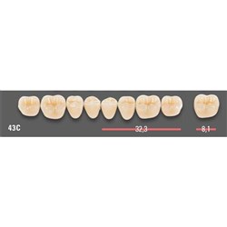 Vitapan CUSPIFORM Posterior A1 Lower Mould 43CL Set 8