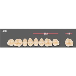 Vitapan CUSPIFORM Posterior A1 Upper Mould 43CU Set 8