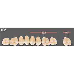 Vitapan CUSPIFORM Posterior A1 Lower Mould 44CL Set 8