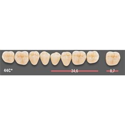 Vitapan CUSPIFORM Posterior A1 Upper Mould 44CU Set 8