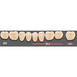 Vitapan CUSPIFORM Posterior A1 Lower Mould 45CL Set 8