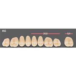 Vitapan CUSPIFORM Posterior A1 Upper Mould 45CU Set 8
