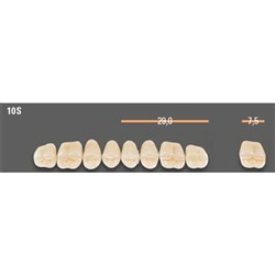 Vitapan SYNOFORM Posterior A2 Upper Mould 10SU Set 8