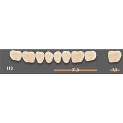 Vitapan SYNOFORM Posterior A2 Lower Mould 11SL Set 8