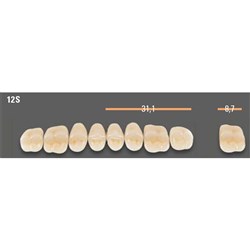 Vitapan SYNOFORM Posterior A2 Upper Mould 12SU Set 8
