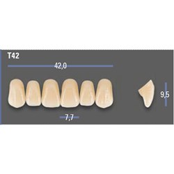 VITAPAN EXCELL Classical Upper Anterior Shade A1 Mould T42